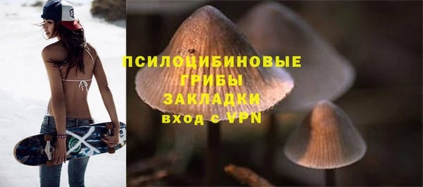 мет Горняк