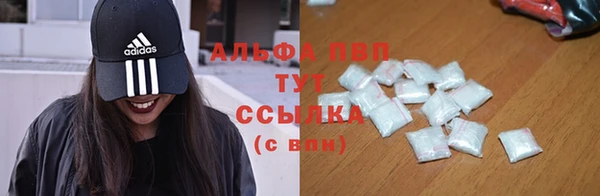 прущие грибы Гусь-Хрустальный