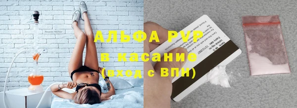 прущие грибы Гусь-Хрустальный